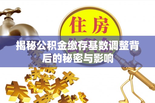 新密揭秘公积金缴存基数调整背后的秘密与影响