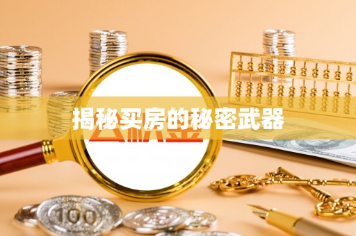 新密揭秘买房的秘密武器