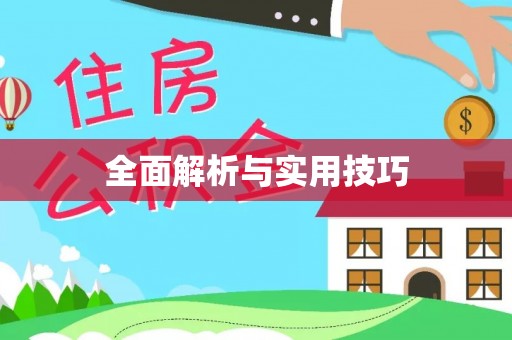 新密全面解析与实用技巧