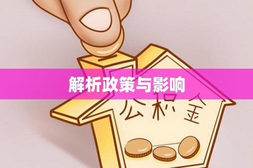 新密解析政策与影响