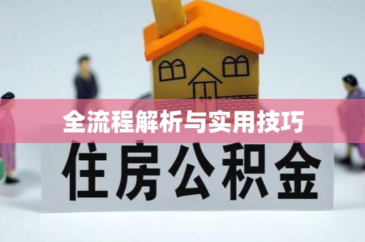 新密全流程解析与实用技巧