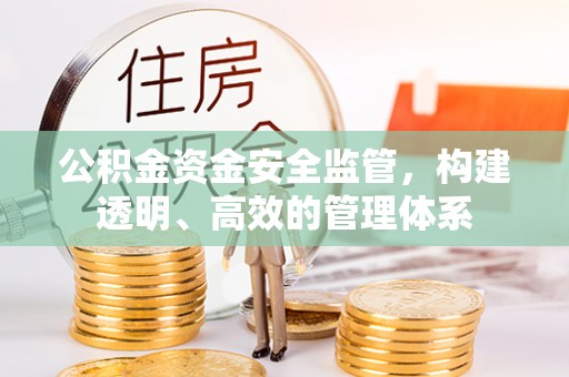 新密公积金资金安全监管，构建透明、高效的管理体系