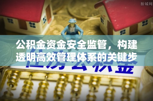 新密公积金资金安全监管，构建透明高效管理体系的关键步骤