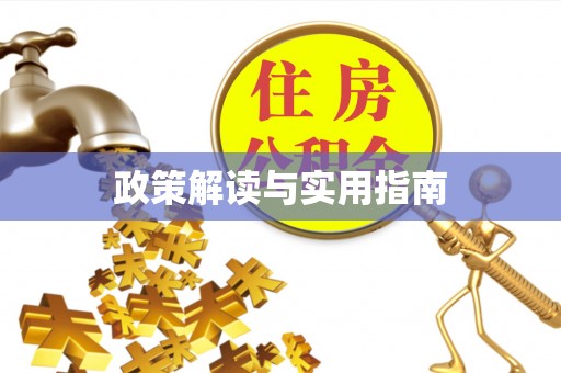 新密政策解读与实用指南