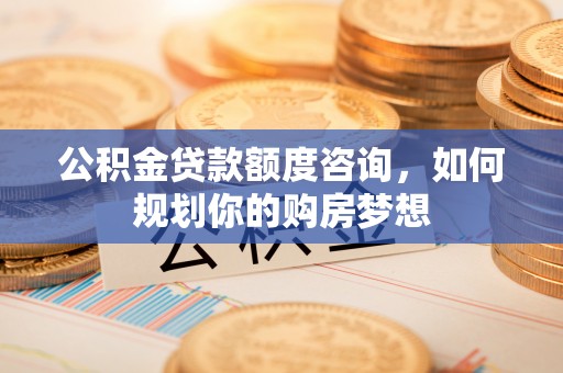 新密公积金贷款额度咨询，如何规划你的购房梦想
