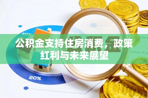 新密公积金支持住房消费，政策红利与未来展望