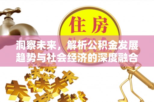 新密洞察未来，解析公积金发展趋势与社会经济的深度融合