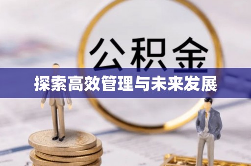 新密探索高效管理与未来发展