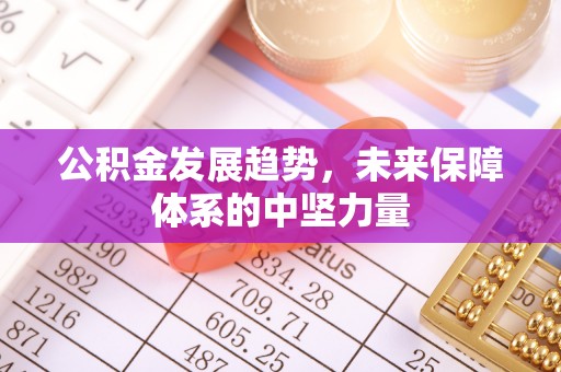 新密公积金发展趋势，未来保障体系的中坚力量