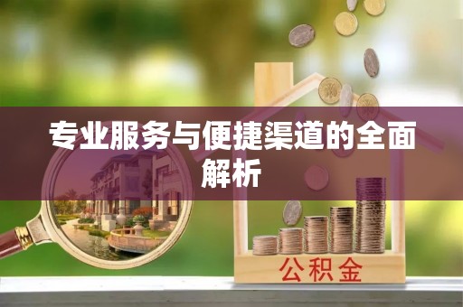 新密专业服务与便捷渠道的全面解析