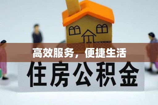 新密高效服务，便捷生活