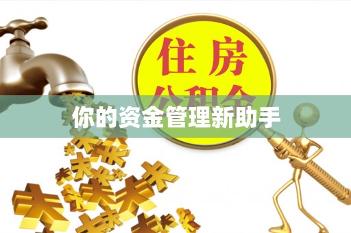 新密你的资金管理新助手