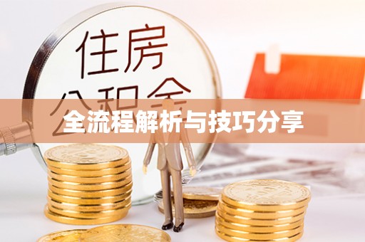 新密全流程解析与技巧分享